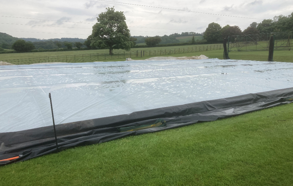 Translucent 350g Cricket Cover